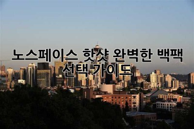 노스페이스 핫샷: 완벽한 백팩 선택 가이드