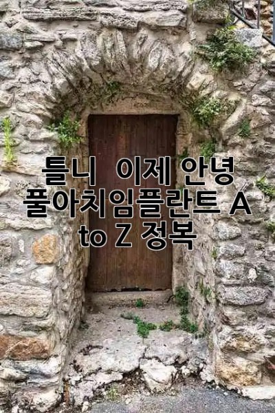 틀니 👋🏻 이제 안녕! 풀아치임플란트🦷 A to Z 정복 ✨