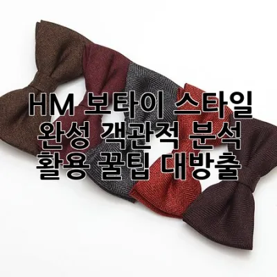 HM 보타이: 스타일 완성, 객관적 분석 & 활용 꿀팁 대방출 👔✨