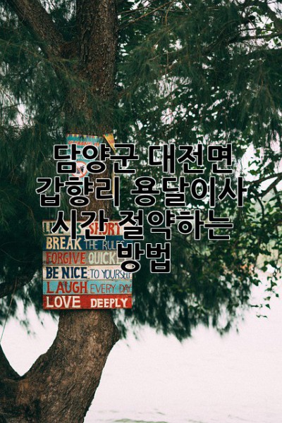 담양군 대전면 갑향리 용달이사 시간 절약하는 방법